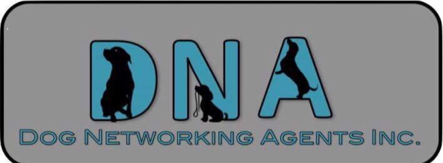 Tiltify Dog Networking Agents