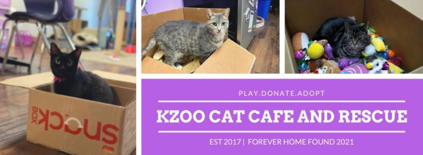 Tiltify Kzoo Cat Cafe and Rescue