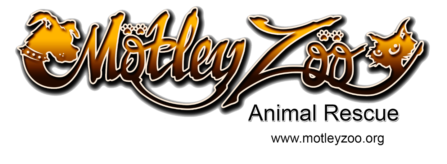 Tiltify motley zoo animal rescue