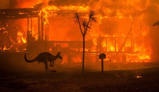 Tiltify - Gaming4Life 2020 Australian Bushfire Appeal