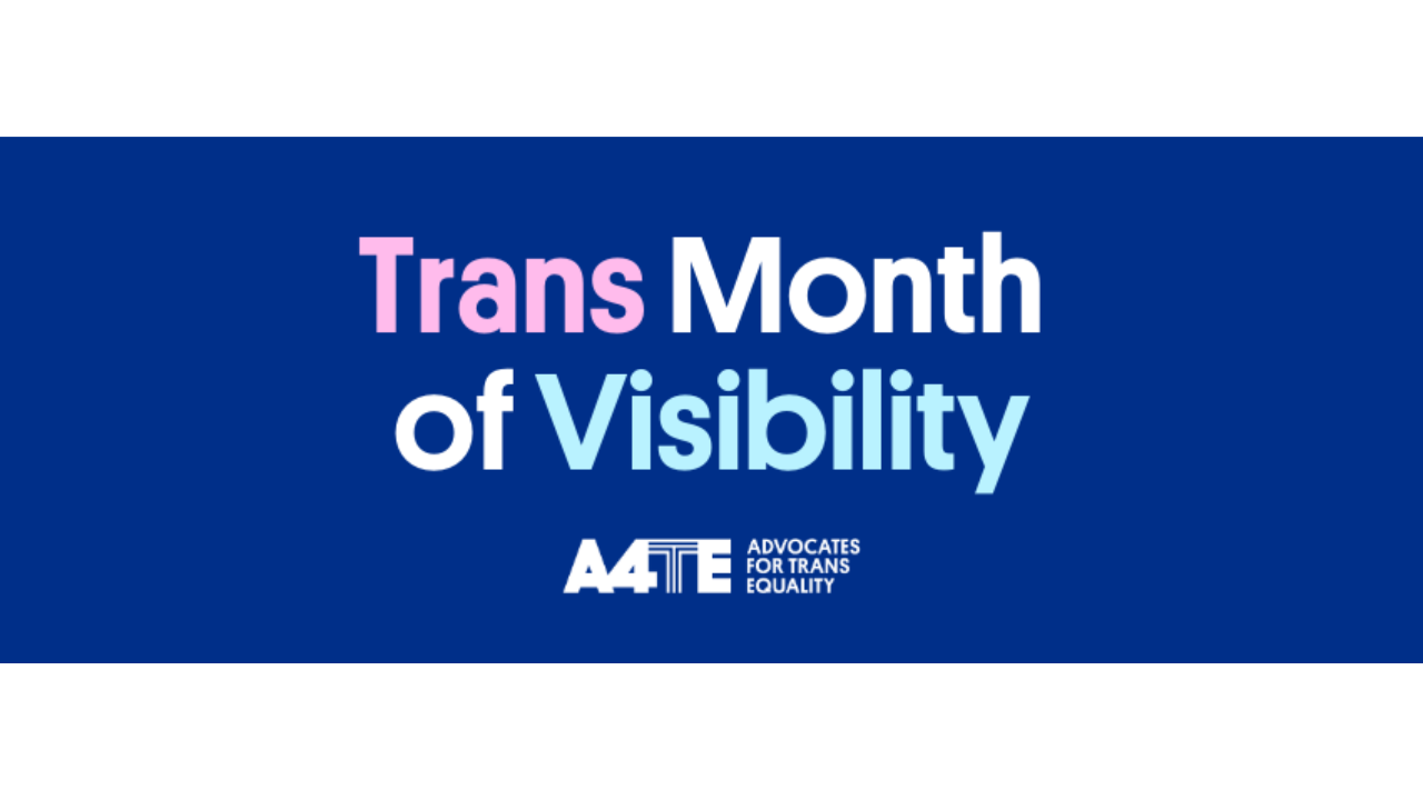 Visibility Month Tiltify - 2025 Trans Month of Visibility