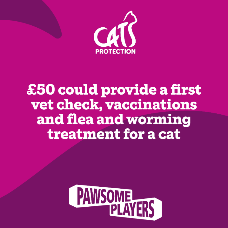Cats Protection Events Tiltify - Cats Protections Winter Campaign Together