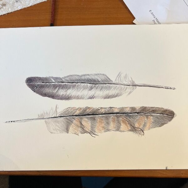 John and Hank's mom is a very good painter and is creating 7 x 10 watercolors reminding us to have hope even in the most difficult of times. This time with two feathers!